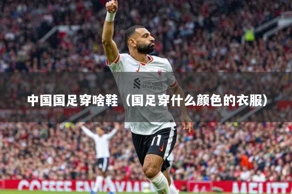 详细阅读:中国国足穿啥鞋(国足穿什么颜色的衣服) 中国国足穿啥鞋(国足穿什么颜色的衣服)