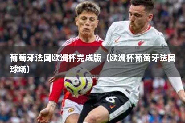 葡萄牙法国欧洲杯完成版（欧洲杯葡萄牙法国球场）