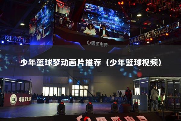 少年篮球梦动画片推荐（少年篮球视频）