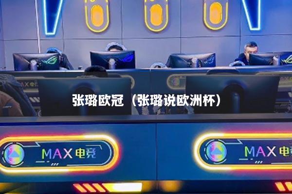 张璐欧冠（张璐说欧洲杯）