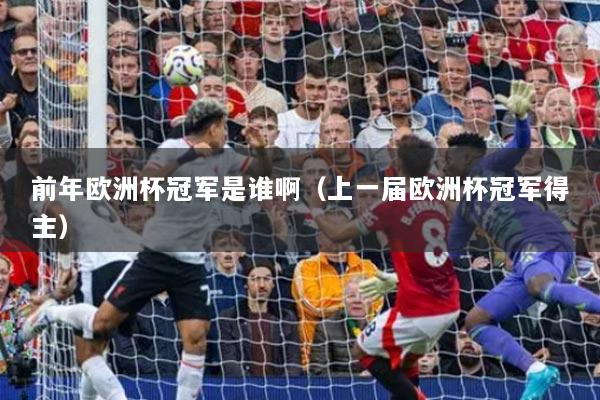 前年欧洲杯冠军是谁啊(上一届欧洲杯冠军得主)