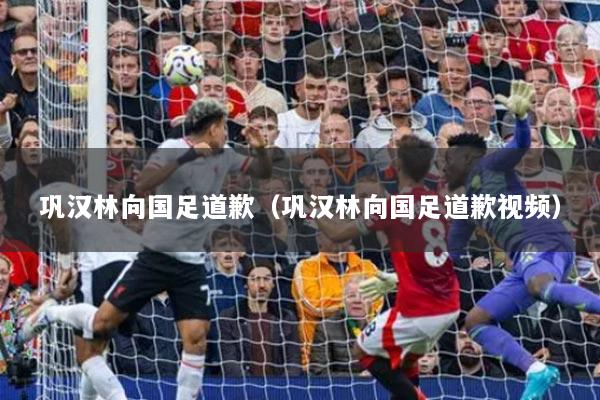 巩汉林向国足道歉(巩汉林向国足道歉视频)