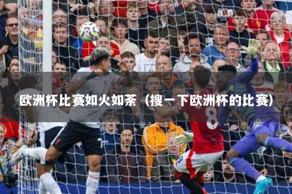 欧洲杯比赛如火如荼(搜一下欧洲杯的比赛)