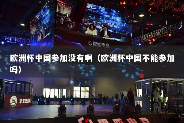 欧洲杯中国参加没有啊(欧洲杯中国不能参加吗)