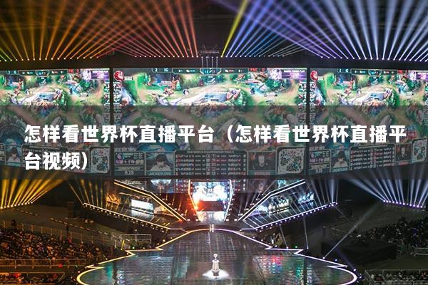 怎样看世界杯直播平台(怎样看世界杯直播平台视频)