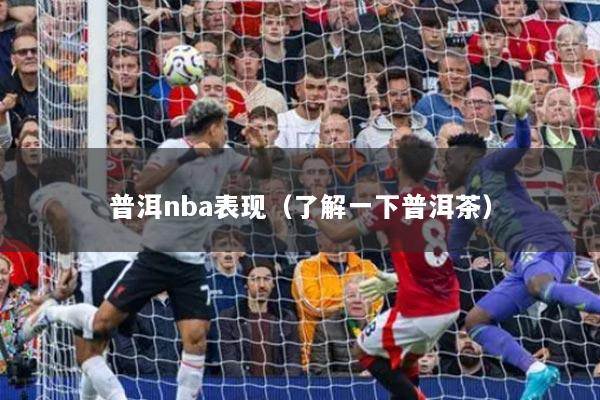 普洱nba表现(了解一下普洱茶)