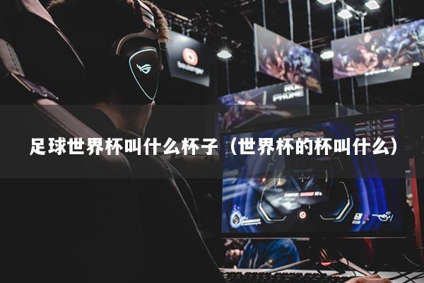 足球世界杯叫什么杯子（世界杯的杯叫什么）