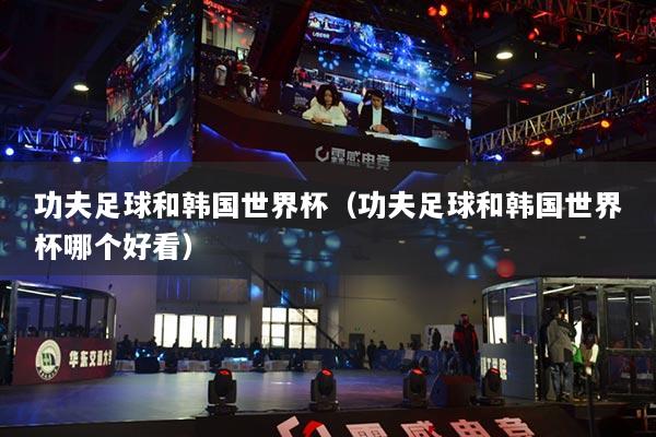 功夫足球和韩国世界杯(功夫足球和韩国世界杯哪个好看)