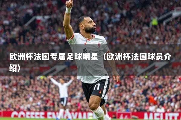 欧洲杯法国专属足球明星(欧洲杯法国球员介绍)