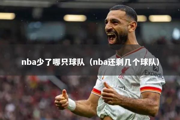 nba少了哪只球队(nba还剩几个球队)