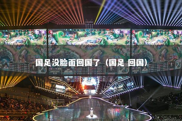 国足没脸面回国了(国足 回国)