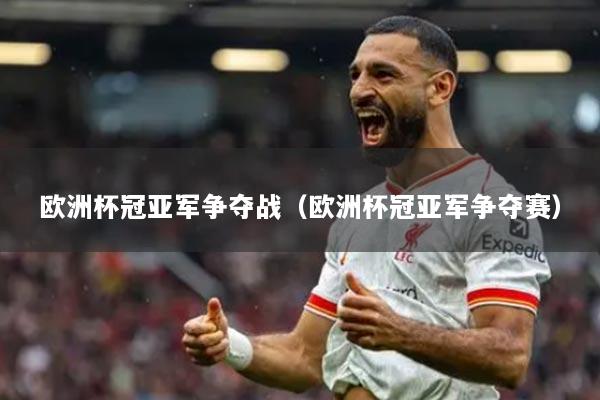 欧洲杯冠亚军争夺战(欧洲杯冠亚军争夺赛)