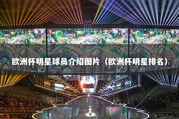 欧洲杯明星球员介绍图片(欧洲杯明星排名)