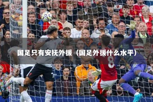 国足只有安抚外援(国足外援什么水平)