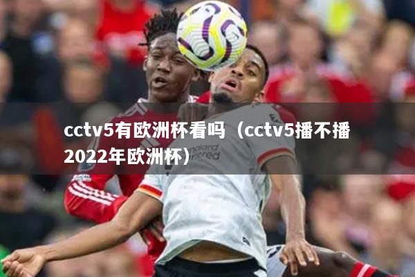 cctv5有欧洲杯看吗（cctv5播不播2022年欧洲杯）